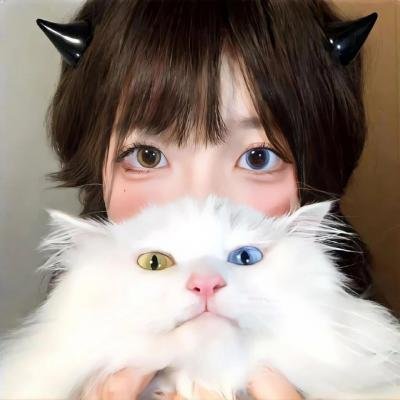 大象与小蝶物语